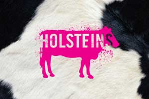Holsteins Shakes & Buns