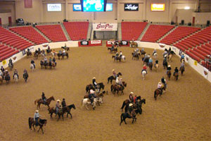 South Point Equestrian Center